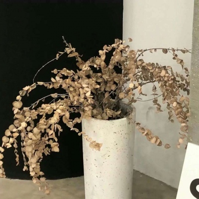 京山FurryQQ群介绍